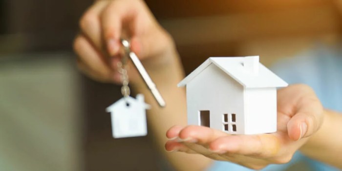 6 Tips to Prepare for Buying a House in 2024 - Money Bridge Solutions Buying a house