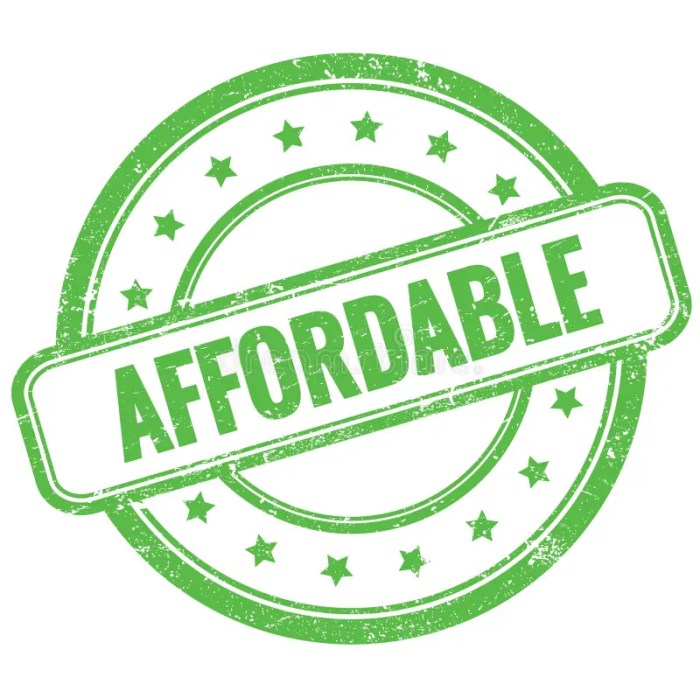 Affordable Affordable house renovation