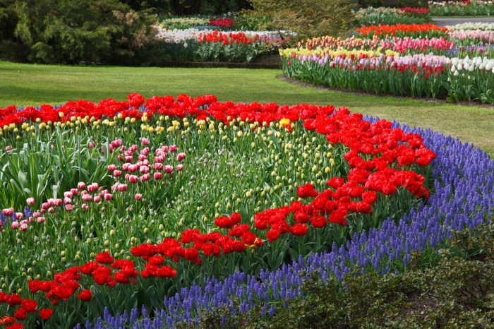 Flower Garden Free Stock Photo - Public Domain Pictures Garden landscaping