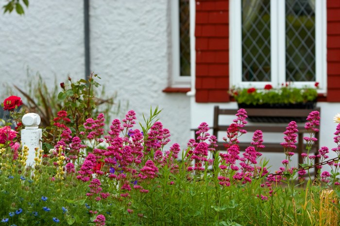 Pretty Flowers And Garden Free Stock Photo - Public Domain Pictures Garden landscaping